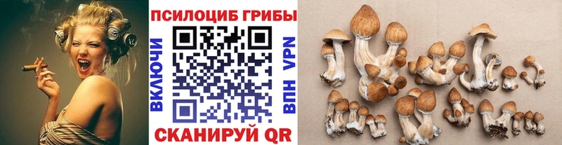 Галлюциногенные грибы мицелий купить Сухиничи